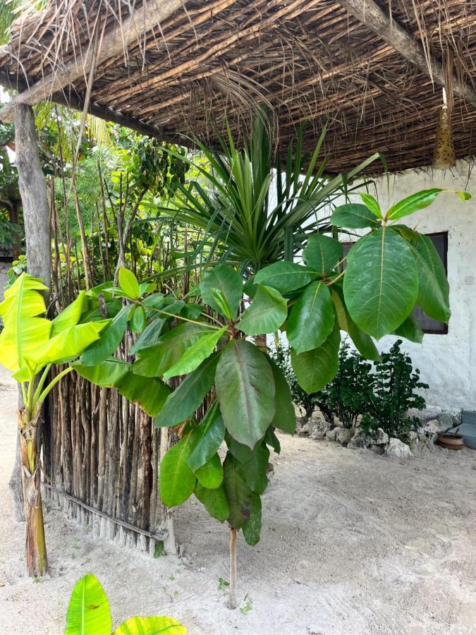 Karanga Bungalows Michamvi 客房 照片